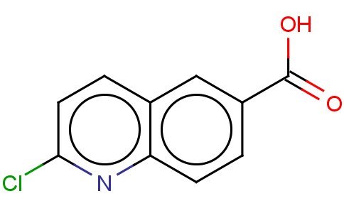 2-CHLOROQUINOLINE-6-CARBOXYLIC ACID